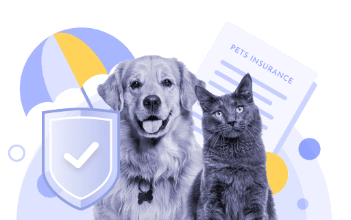 Pet insurance coverage