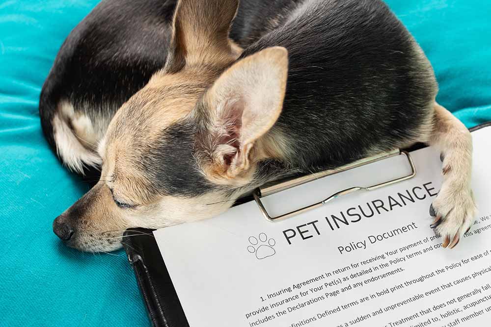  Insurance